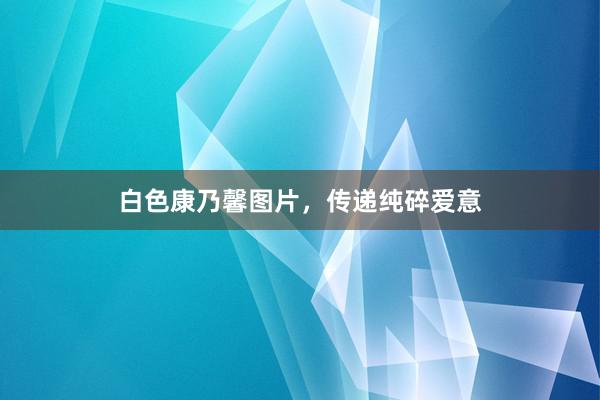 白色康乃馨图片，传递纯碎爱意