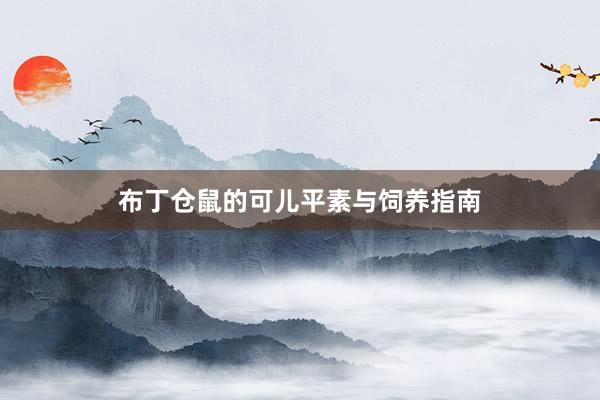 布丁仓鼠的可儿平素与饲养指南