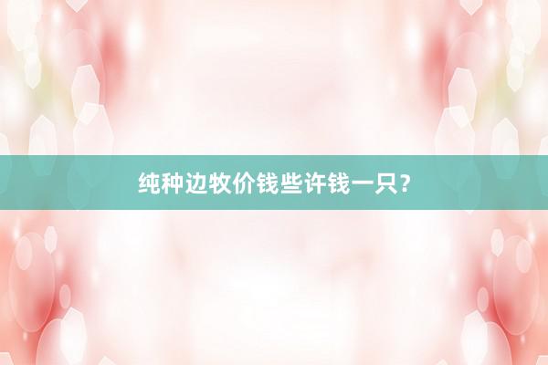 纯种边牧价钱些许钱一只？