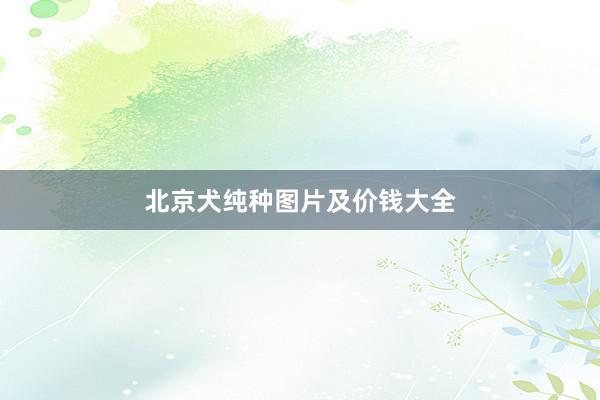 北京犬纯种图片及价钱大全